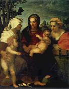 Madonna and child with Sts Catherine and Elizabeth,and St John the Baptist, Andrea del Sarto